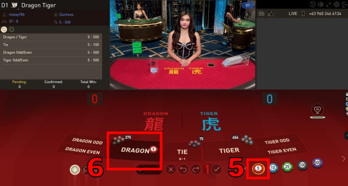 how to play dragon tiger online casino game tutorial guide step 3